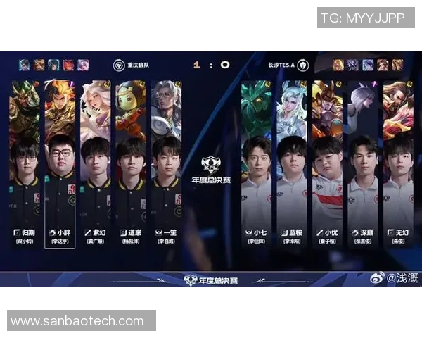 王者荣耀团队协作排名新突破TES战队表现引领潮流